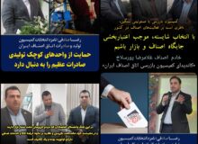 دو نماینده بابل، کاندیدای کمیسیون‌های تخصصی اتاق اصناف ایران شدند: